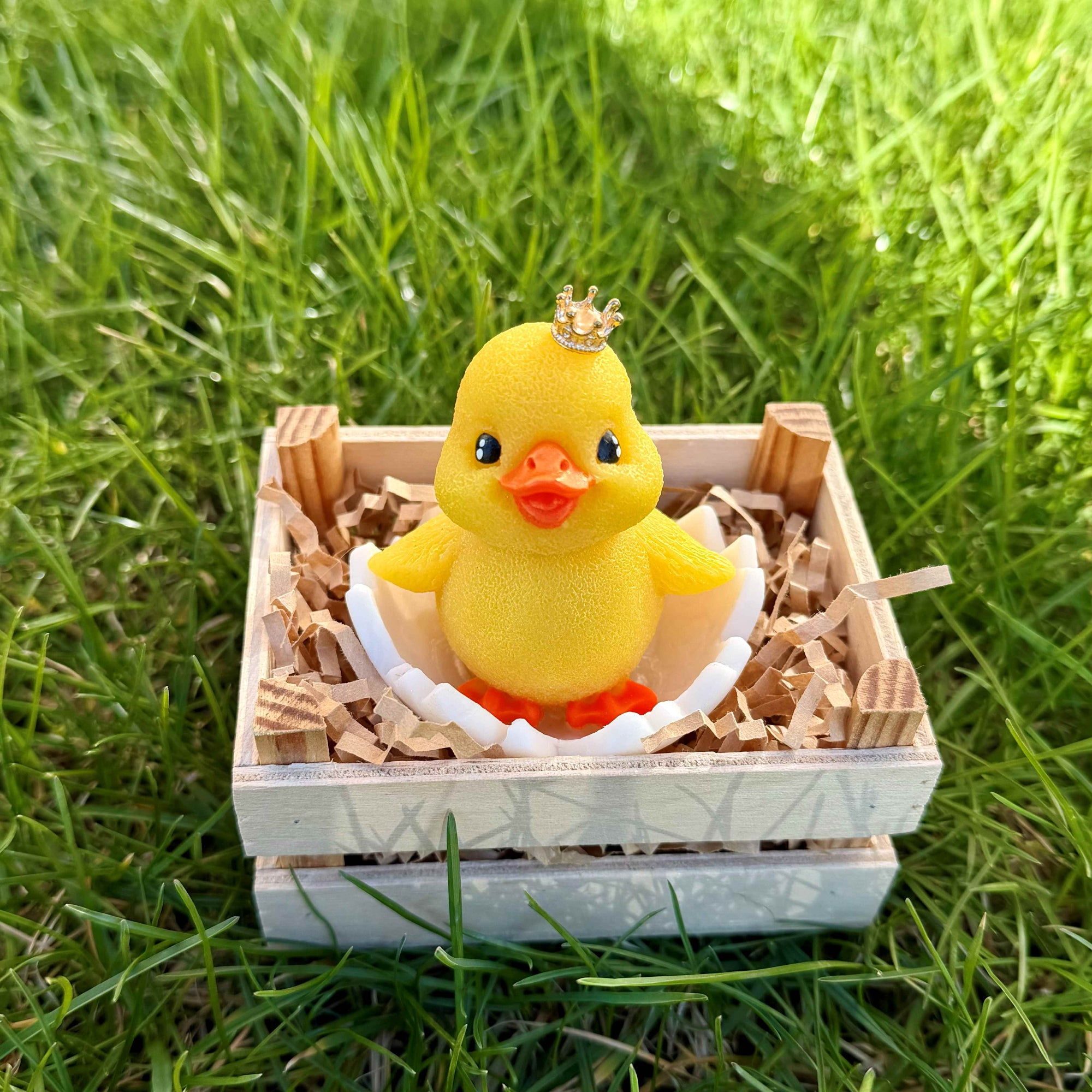 Yellow rubber duck in an egg crate on grass