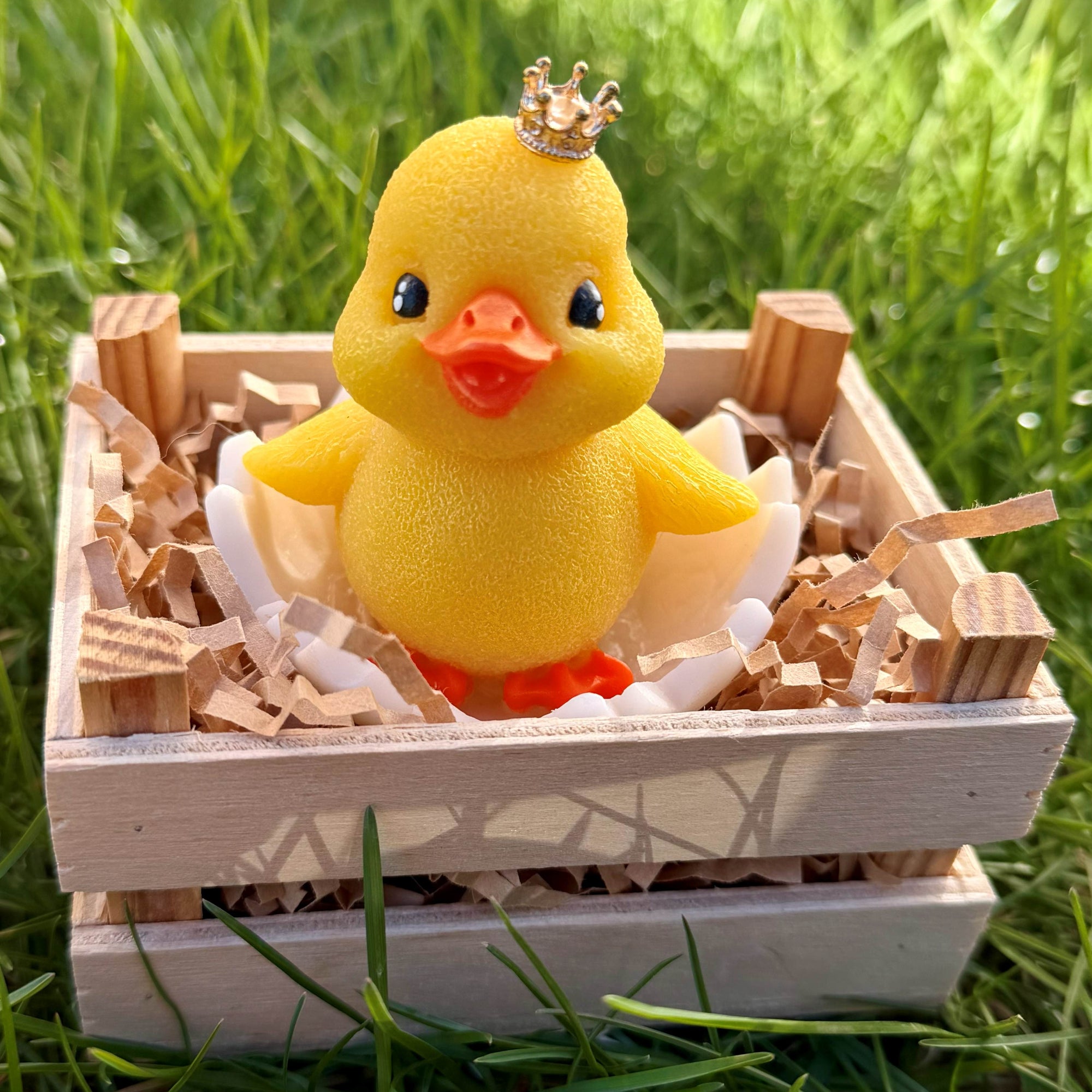 Yellow rubber duck with a crown in a wooden crate on grass