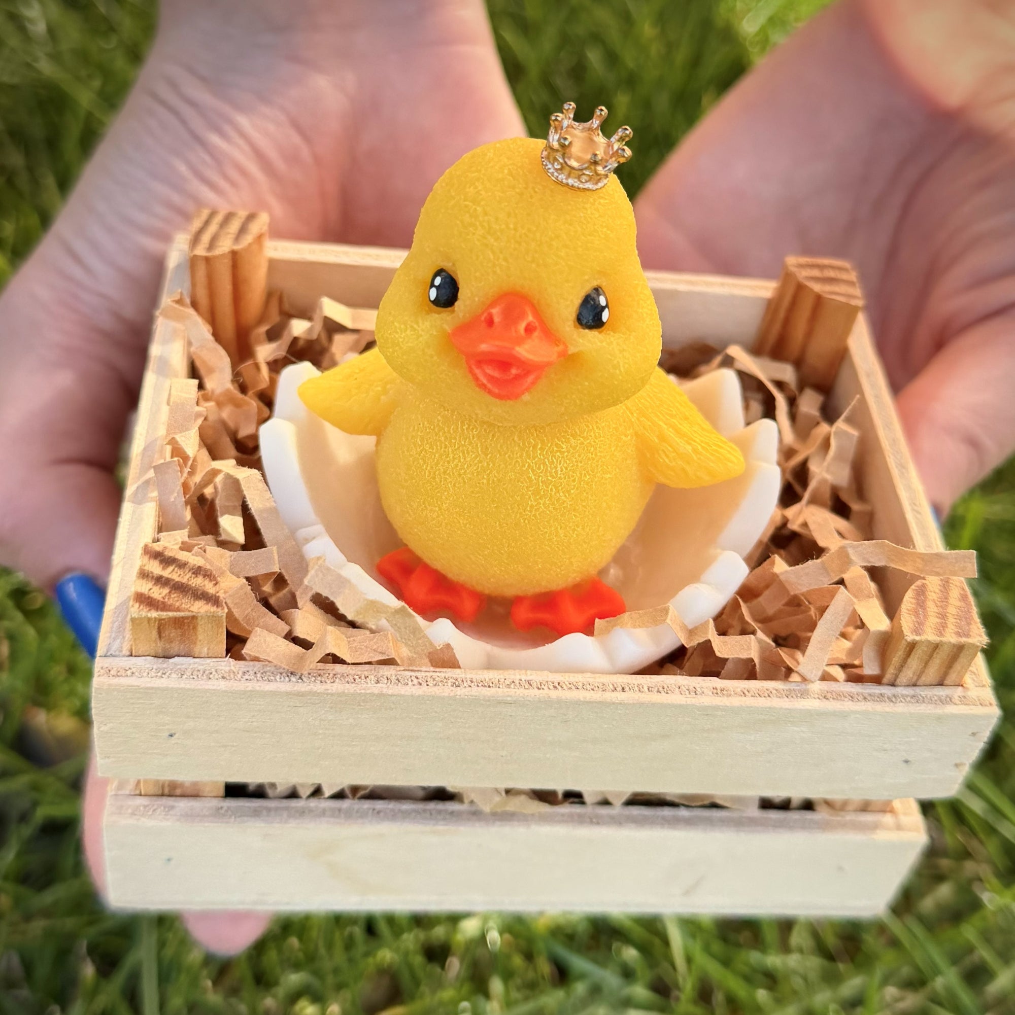 Yellow rubber duck with a crown in a wooden crate on grass