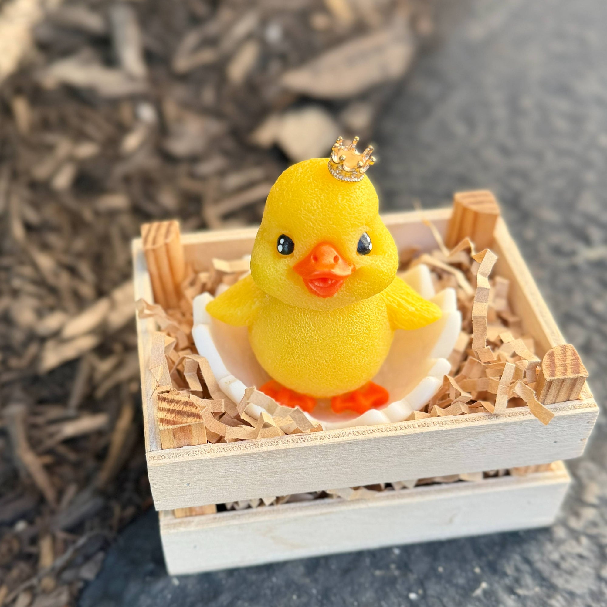 Yellow rubber duck with a crown in an egg on a wooden crate against a natural background